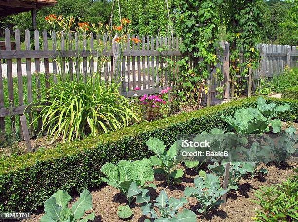 Blumen Und Gemüsim Garten Stockfoto und mehr Bilder von Buchsbaum - Buchsbaum, Gemüsegarten, Hausgarten