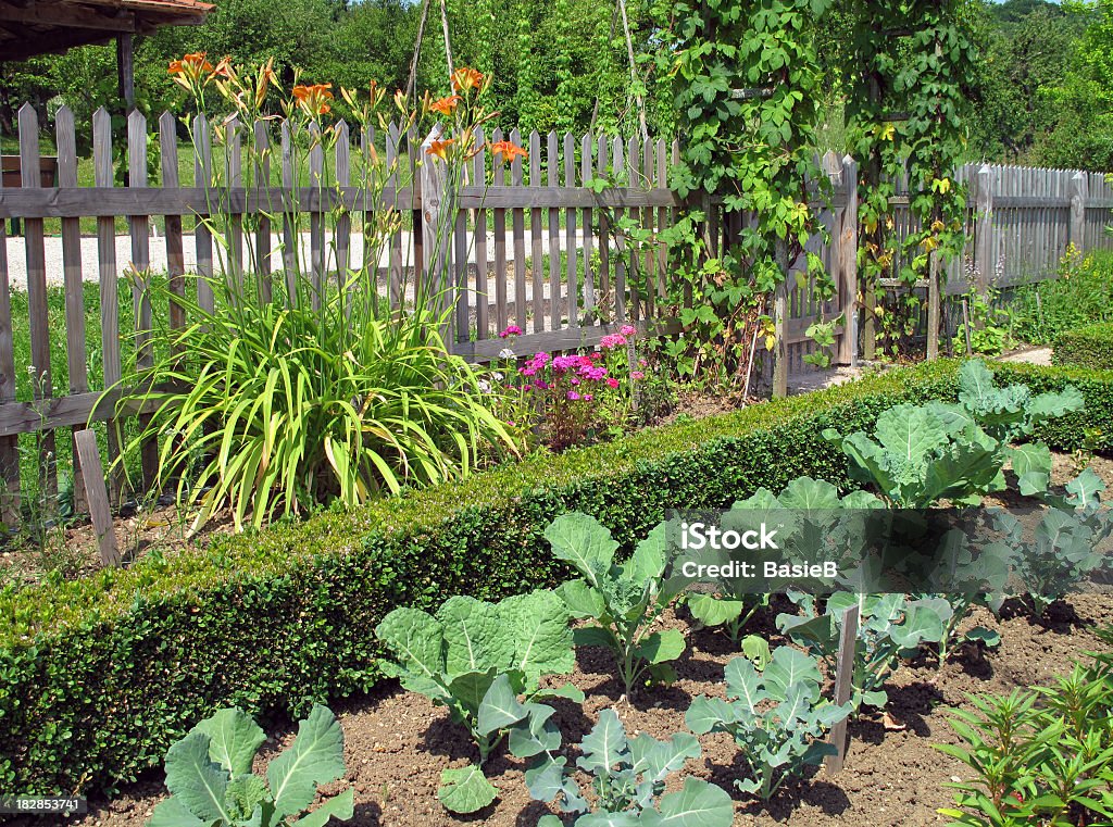 Flores e produtos hortícolas no jardim - Royalty-free Buxo Foto de stock