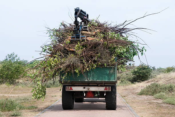istock Truck fully loaded with plants and branches 182853902