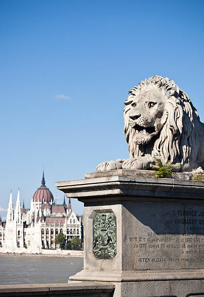 будапешт, венгрия - chain bridge budapest bridge lion стоковые фото и изображения