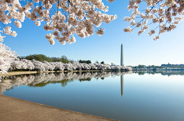 istock Lake view of Washington monument 182854071