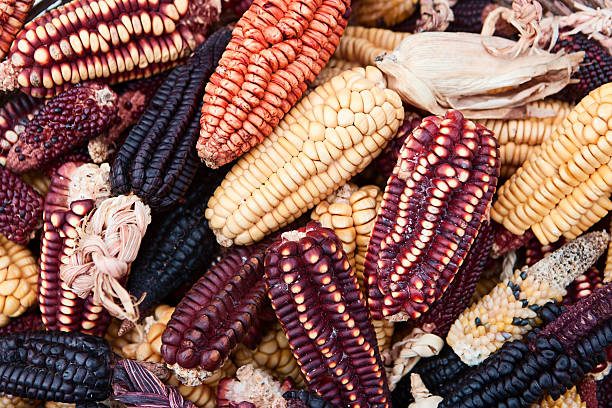 istock Corn (maize) for sale, Pisac market, Peru 182854223