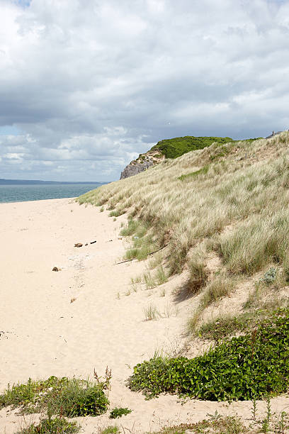 istock Caldey Island in Pembrokeshire 182854773