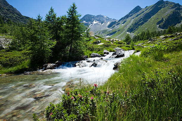 istock Italian Alps panorama with river 182854822