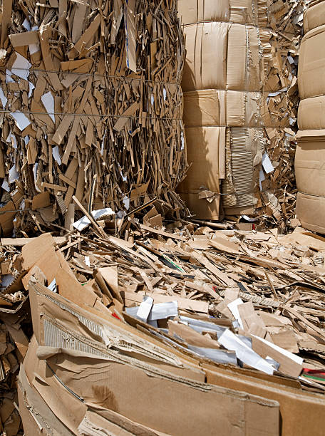 Bales of cardboard and paper stacked for recycling stock photo