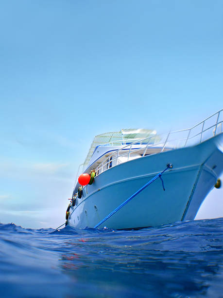 istock fish eye view of a ship in sea 182855394