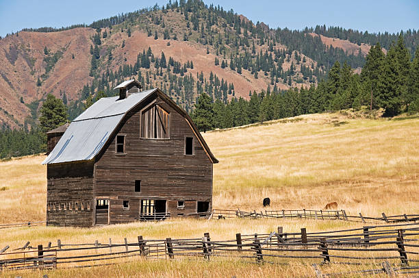 istock Barn and rail fences in central Washington 182855562