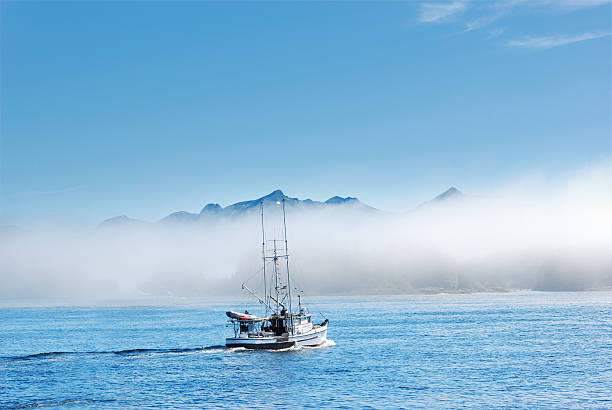 pesca stagione - sitka foto e immagini stock