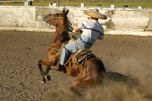 Cowboy riding a horse in rodeo arena. Wearing a cowboy hat.