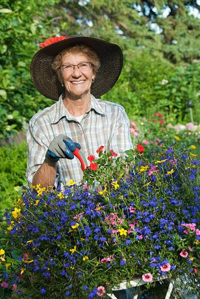 istock Senior Woman Gardening 182855753