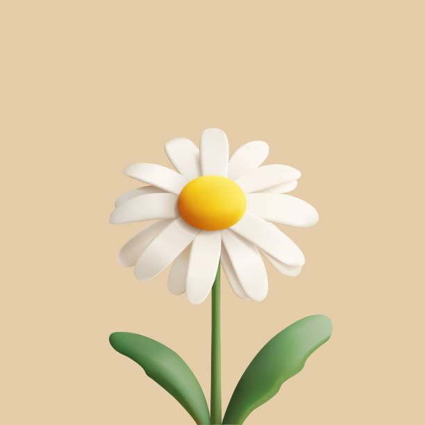 istock Cute chamomile or daisy flower 3D illustration. Cartoon render style icon 1828560968