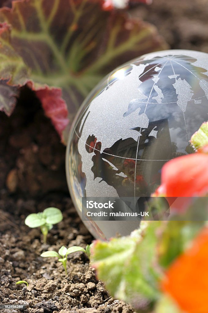 Little Planet Crystal globe sat on green foliage. Beauty In Nature Stock Photo