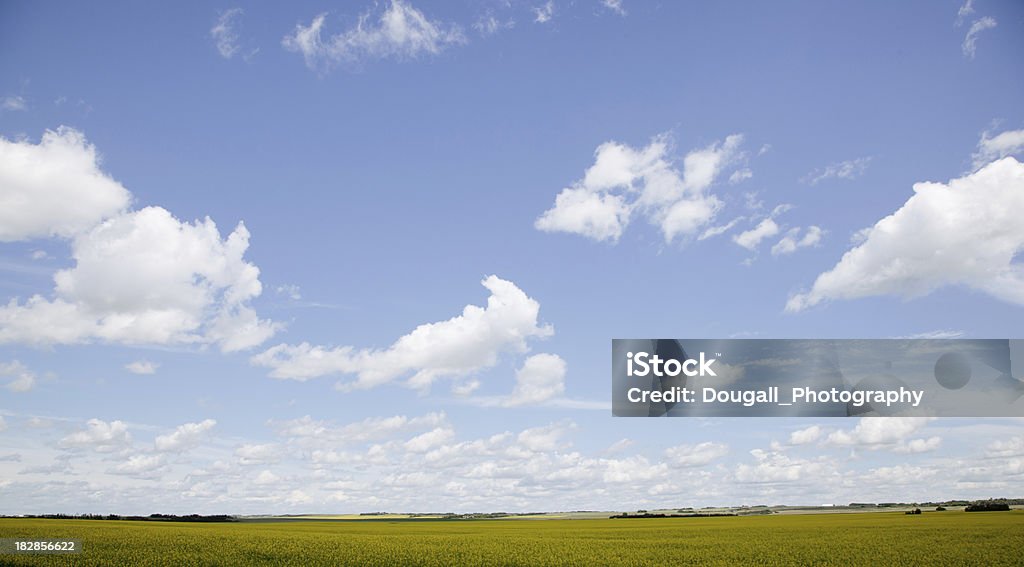 Prairie jaune avec Fonds de nuage - Photo de Agriculture libre de droits