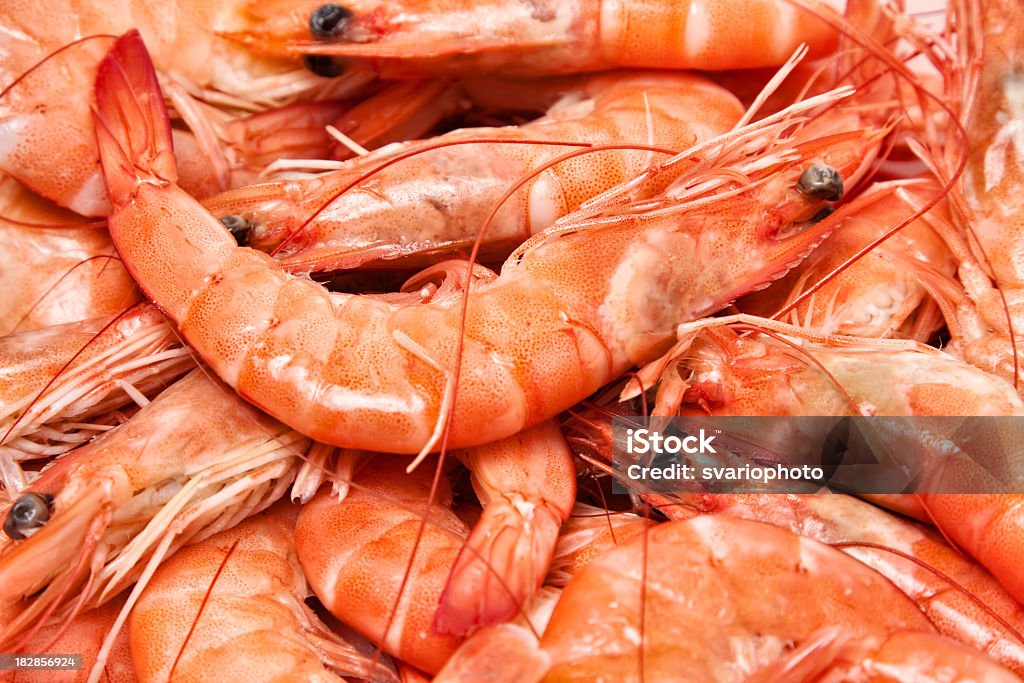 Gros plan des crevettes - Photo de Aliment libre de droits