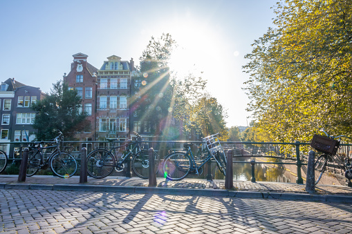 Netherlands. Sunny autumn morning on the Amsterdam canal. Bridge and yellow foliage. Bright sun over authentic building facades