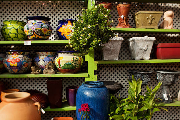 istock colorful flower pots 182857283