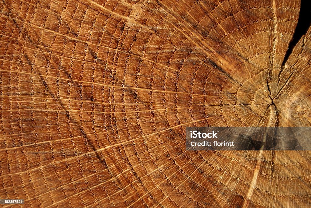 Wood - Lizenzfrei Alt Stock-Foto