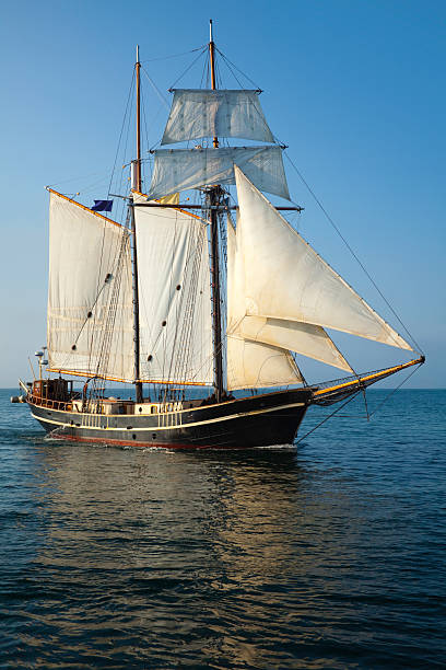 классические schooner военный парусник на море - sailing ship nautical vessel rigging industrial ship стоковые фото и изображения