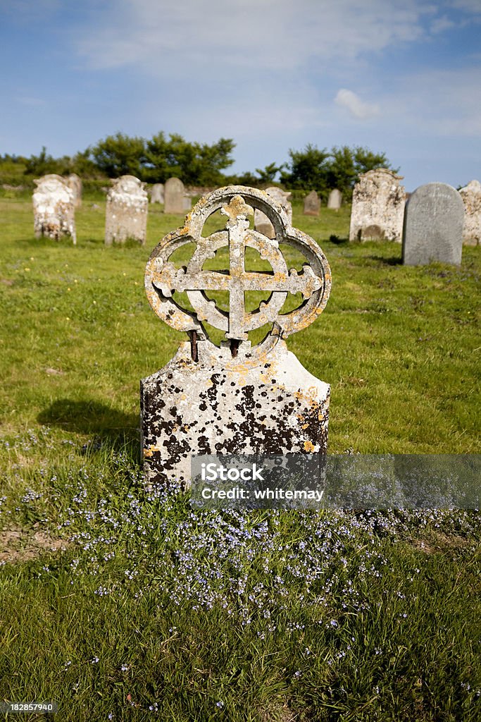 gravestone Decaying z dzikich kwiatów - Zbiór zdjęć royalty-free (Anglia)