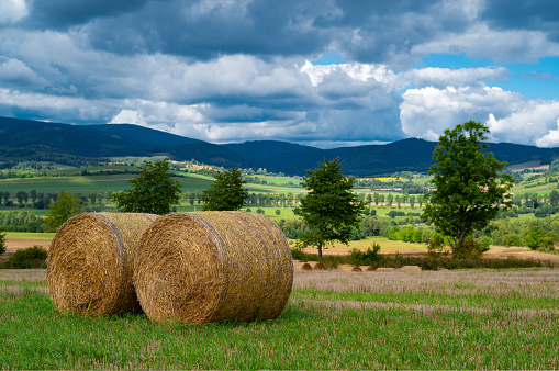 roll of hay lying on the background of a beautiful landscape