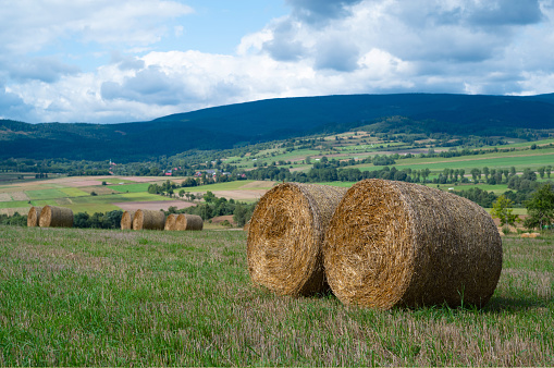 roll of hay lying on the background of a beautiful landscape