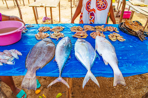 Toamasina, Madagascar. 18 october 2023. Fresh fish food local market. women clean and sell fresh fish. hands and pieces fish in focus. Local flavor.