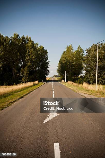 Foto de Country Road Com A Flecha Marcação e mais fotos de stock de Azul - Azul, Bosque - Floresta, Carvalho - Árvore de folha caduca