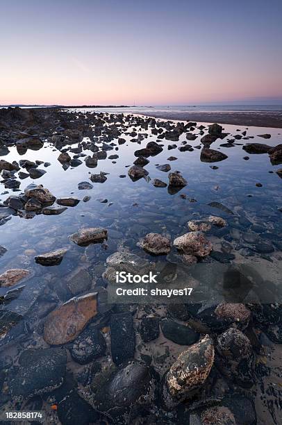 Wieczorem Rocky Beach - zdjęcia stockowe i więcej obrazów Tasmania - Tasmania, Basen pływowy, Australia