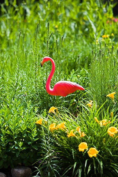 istock Pink Flamingo 182858177