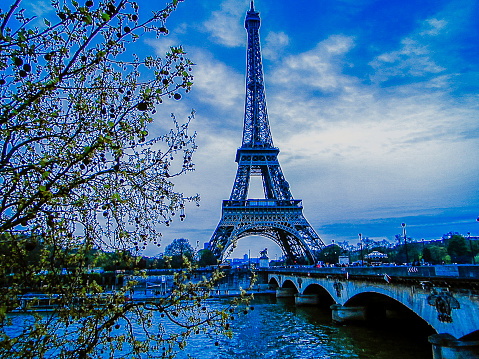 Eiffel Tower With Tree in the background