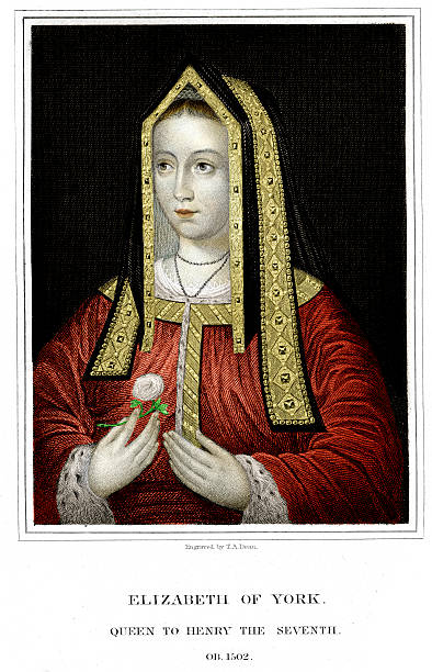 elizabeth of york - tudor style king engraved image portrait stock illustrations
