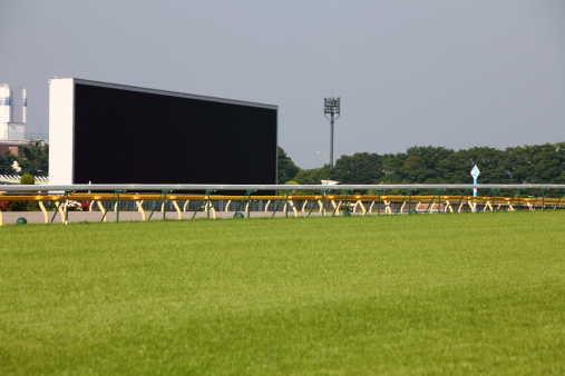 Turf track in racecourse with a big screen on the track side.