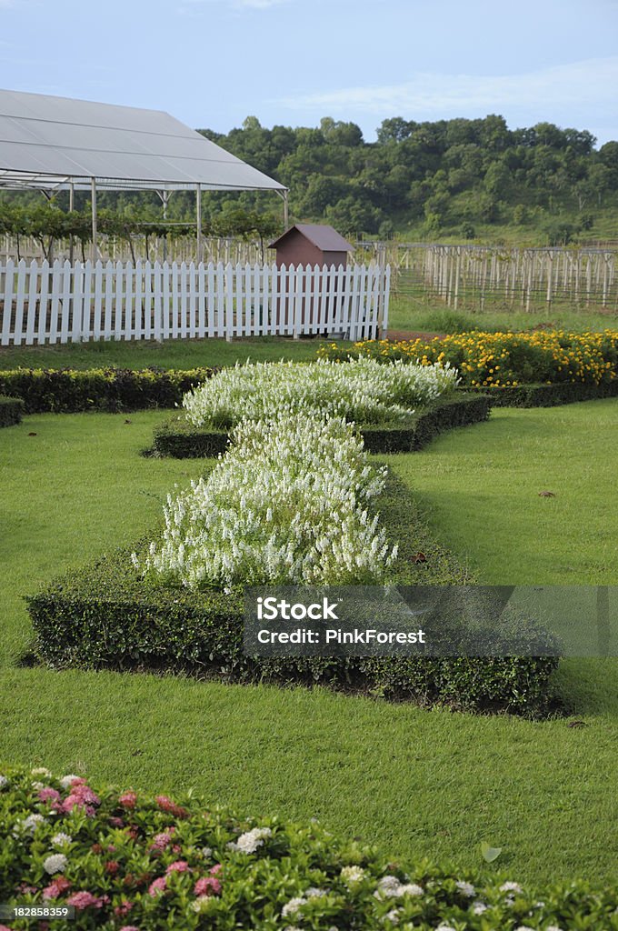 Green Lawn in Landscaped Formal Garden Green lawn (with a bit of clover) in a colorful landscaped formal garden.garden collection Agricultural Field Stock Photo