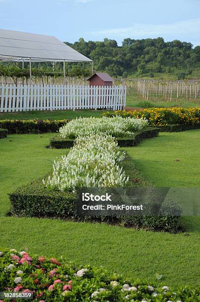 Green Lawn In Landscaped Formal Garden Stock Photo - Download Image Now - Agricultural Field, Backgrounds, Beauty