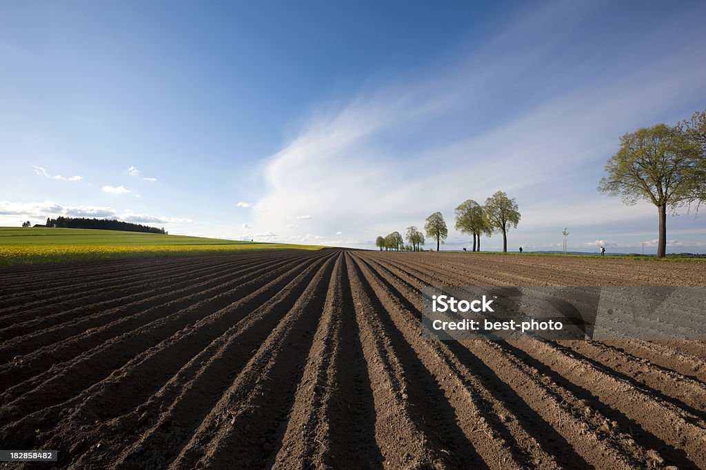 Resorte de coutryside - Foto de stock de Campo arado libre de derechos