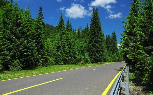 Driving along fir forests on Transalpina road, a high altitude mountainous road. Lotru Massif, Carpathia, Romania.