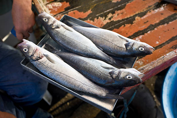istock Fish at the Market 182858771