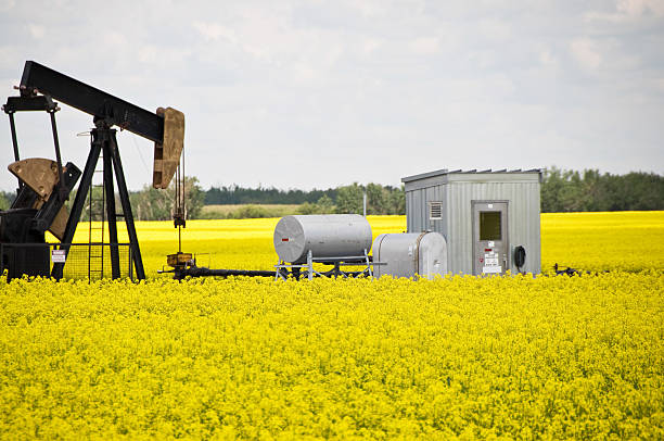istock Canola  and Well Head Pump 182858917