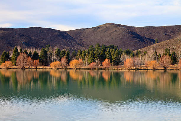 Wairepo arm, Omarama, Canterbury, New Zealand "Autumn trees reflecting in the Wairepo arm of lake Ruataniwha, Omarama, Canterbury, New Zealand" omarama stock pictures, royalty-free photos & images
