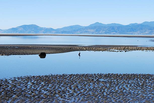 istock Looking out to Nelson across the Mapua Estuary 182859342