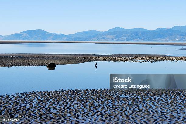 Olhando Para Fora A Nelson No Mapua Estuário - Fotografias de stock e mais imagens de Nova Zelândia - Nova Zelândia, Baía de Ruby, Estuário