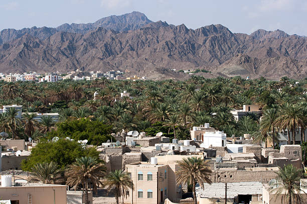 vista sulla città di nizwa, oman. - oman greater masqat fort tourism foto e immagini stock