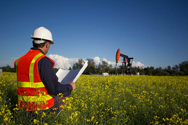 Engineer in Canola An engineer looks over his plans while surveying an oil pumpjack. oil wellhead stock pictures, royalty-free photos & images