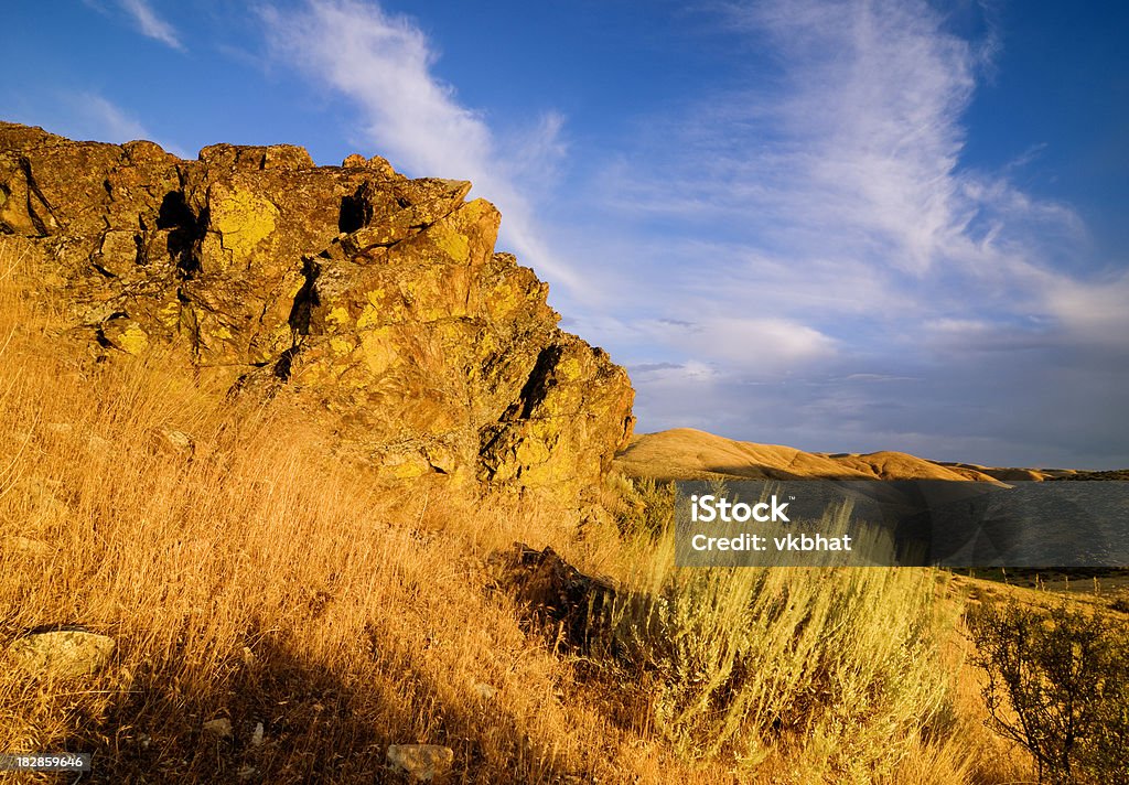 Beautiful evening "Beautiful summer evening at Boise, Idaho, USAPlease visit my below Lightboxes for more Boise and Idaho Image options:" August Stock Photo