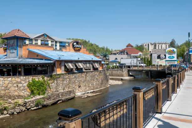 개틀린버그의 거리 전망 - gatlinburg tennessee city town 뉴스 사진 이미지