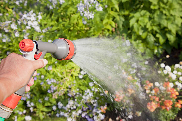 istock Spraying flowers # 11 XXXL 182859763
