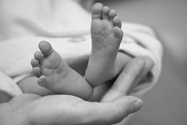istock Newborn Baby feet #4 182859935