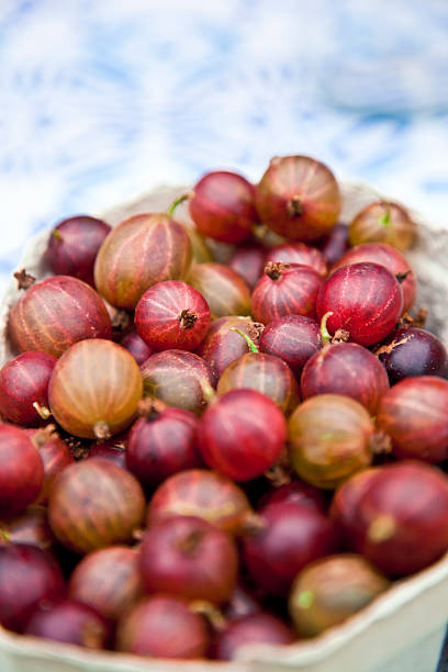 Closeup of gooseberries
