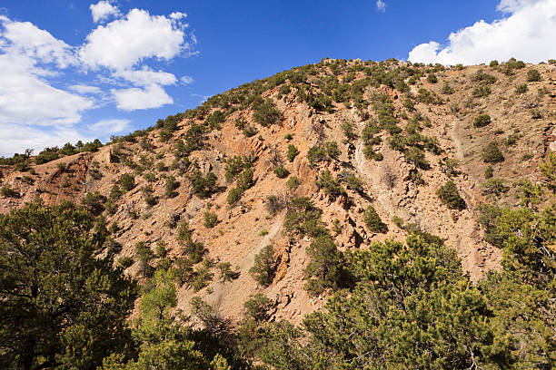 istock Barren hill with bushes 182861102