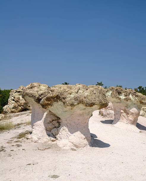 istock Stone mushrooms, near Kardzali, Bulgaria 182861161